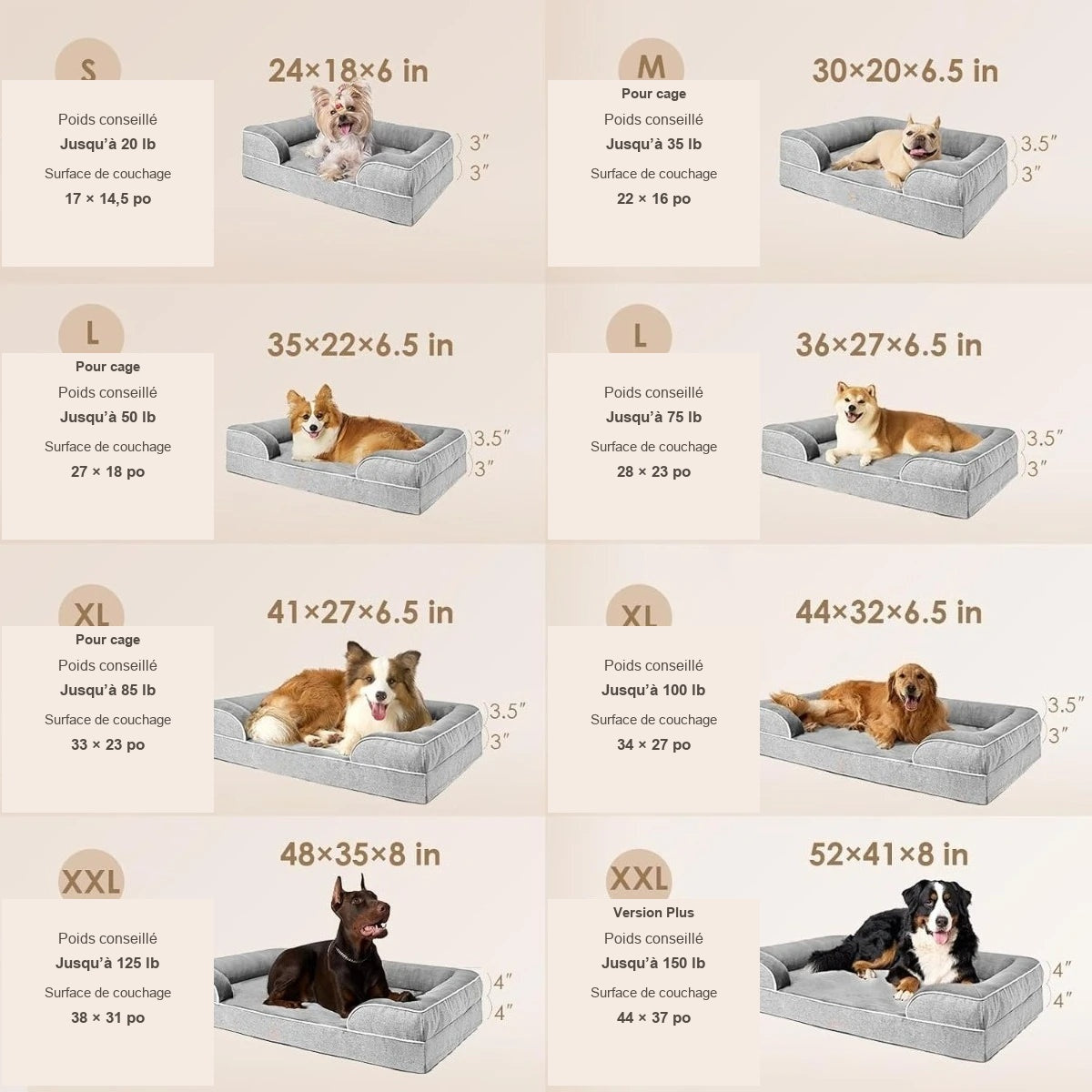Guide des tailles du matelas pour chien, poids et surface de couchage