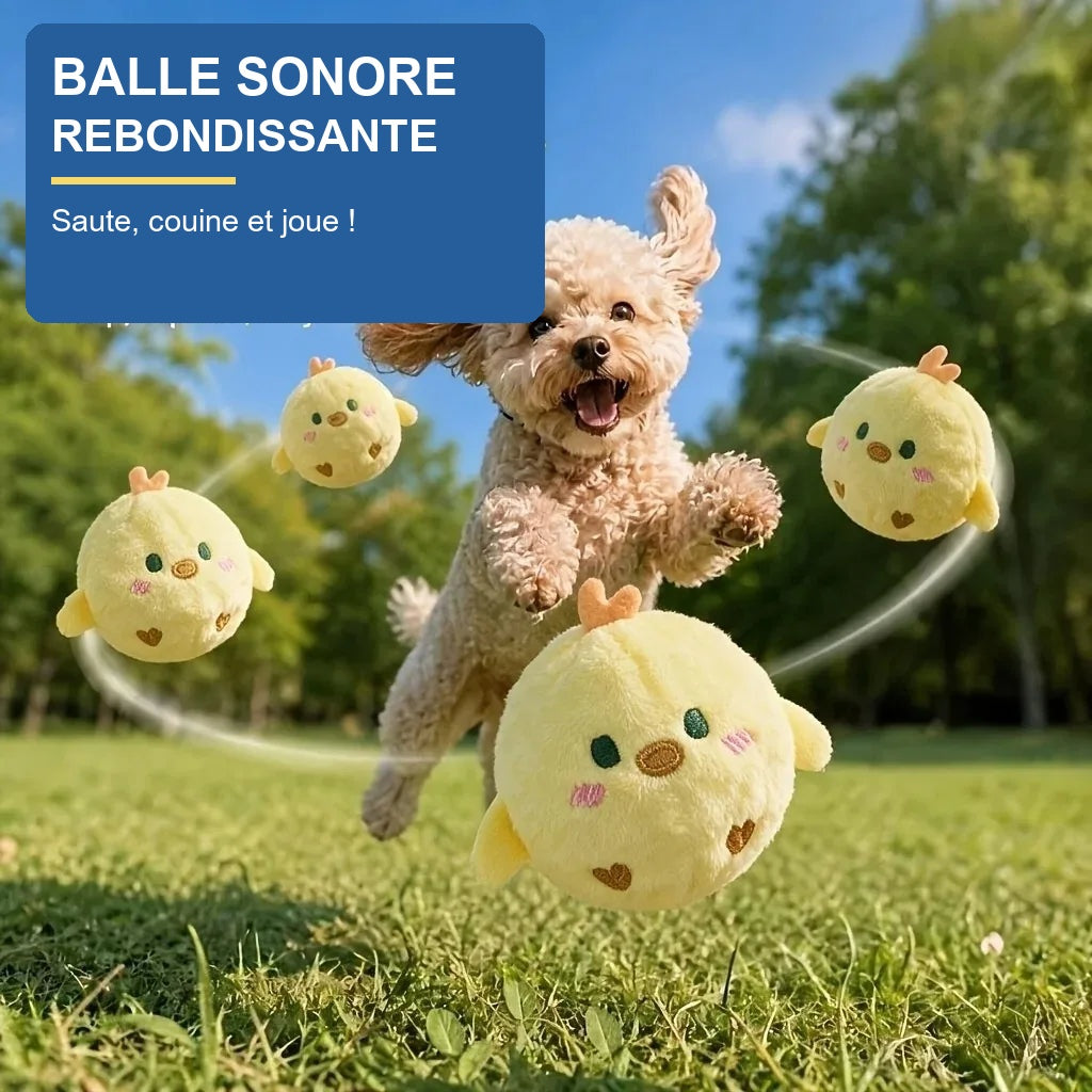 Balle sonore rebondissante pour chien, jeu et couinement
