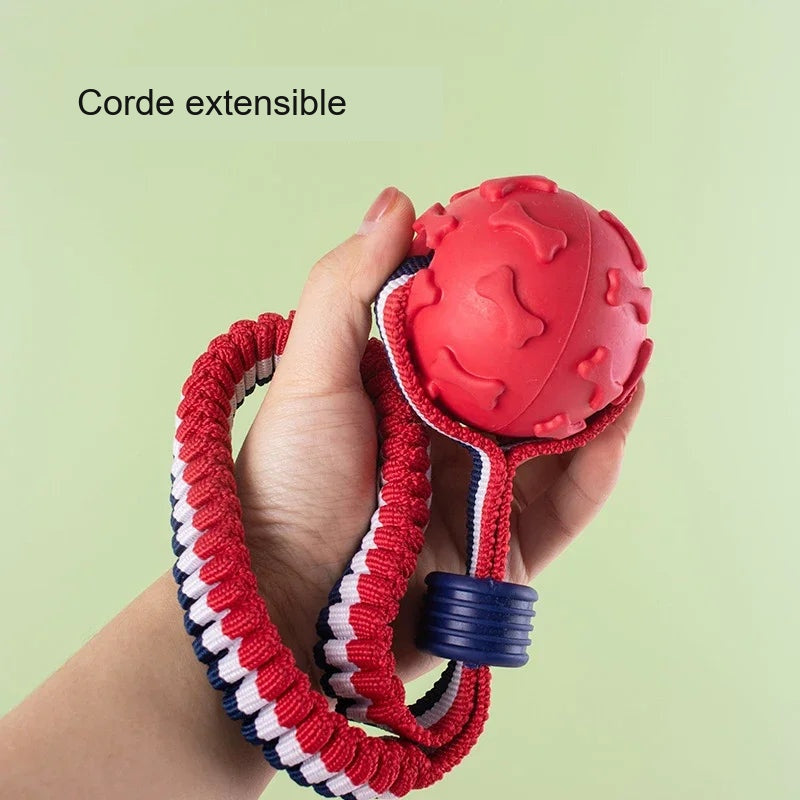 Corde extensible avec balle à mâcher