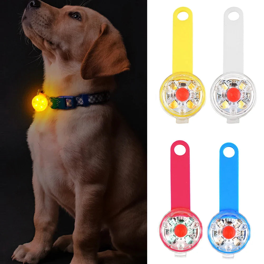 Pendentif LED sur collier de chien
