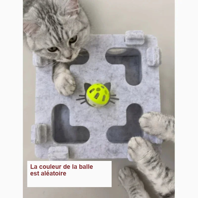 Chat jouant avec le puzzle, la couleur de la balle est aléatoire