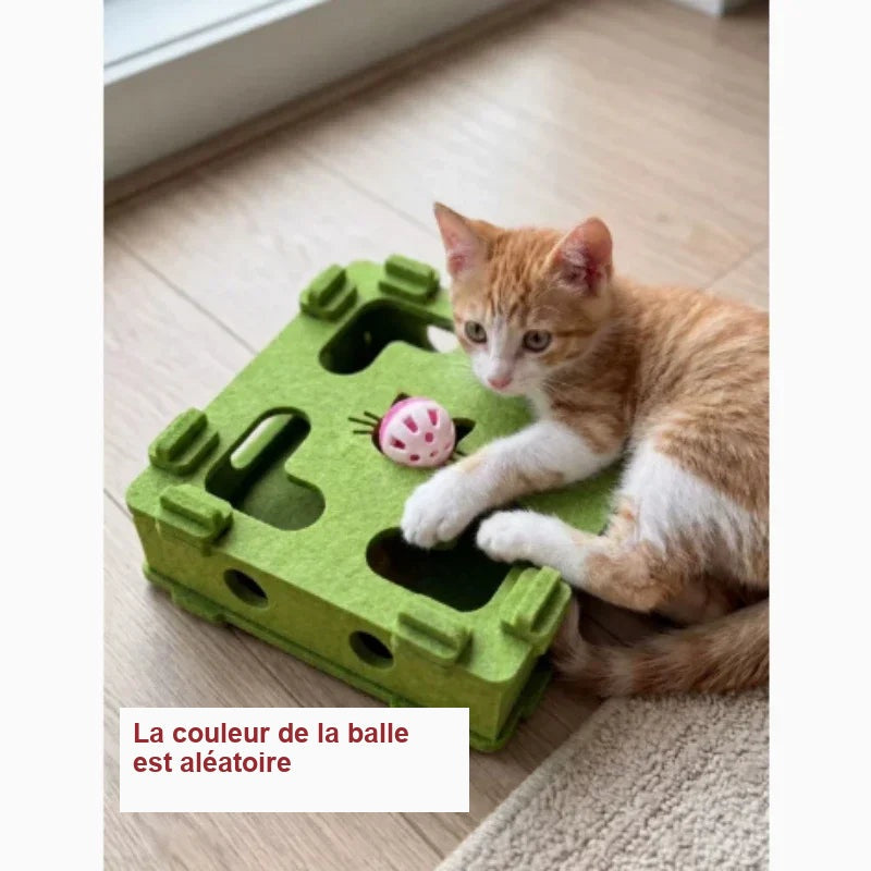 Chaton jouant avec un puzzle pour chat