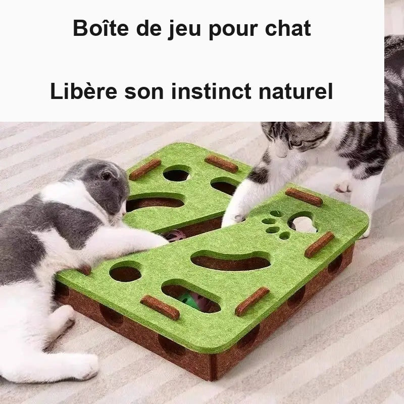 Boîte de jeu pour chat, photo d’utilisation