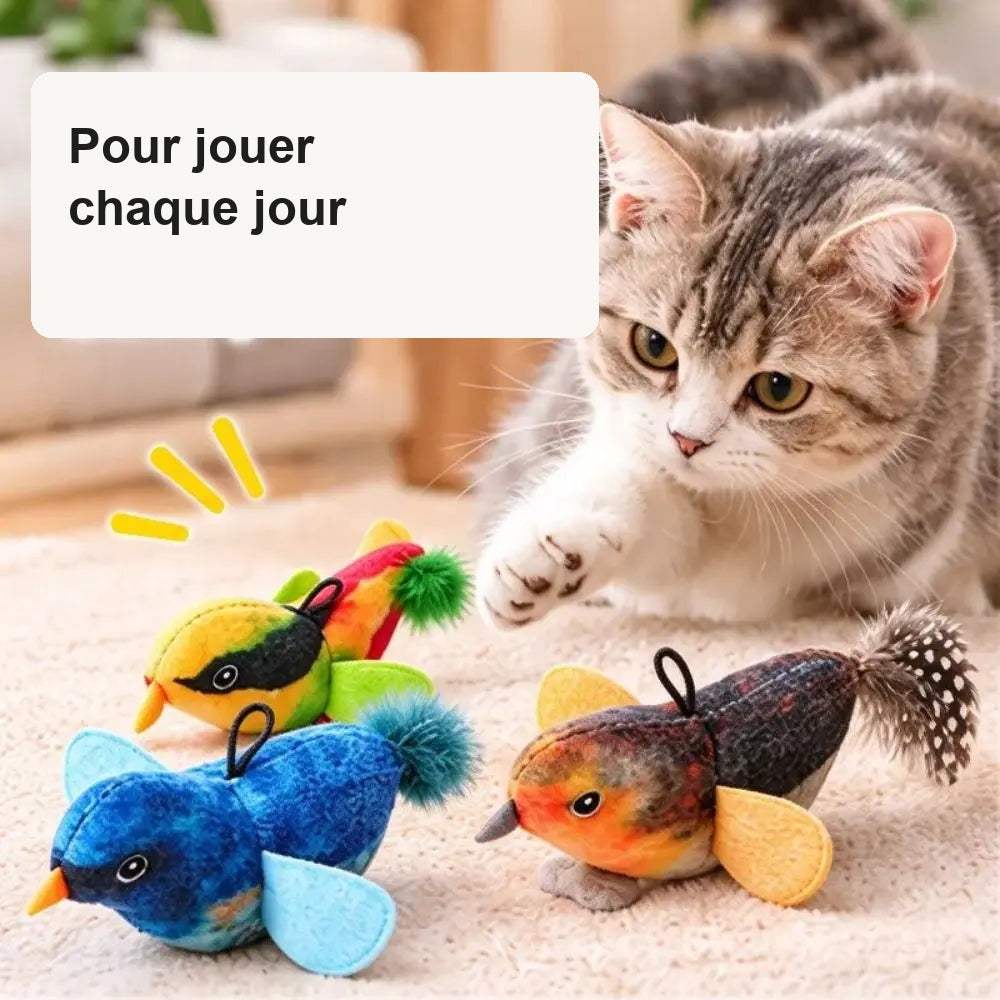 Jouets oiseaux pour chat, visuel français