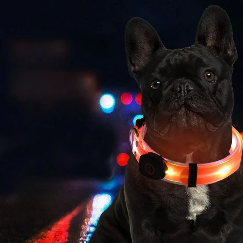 Collier LED et laisse – À l’unité ou en ensemble
