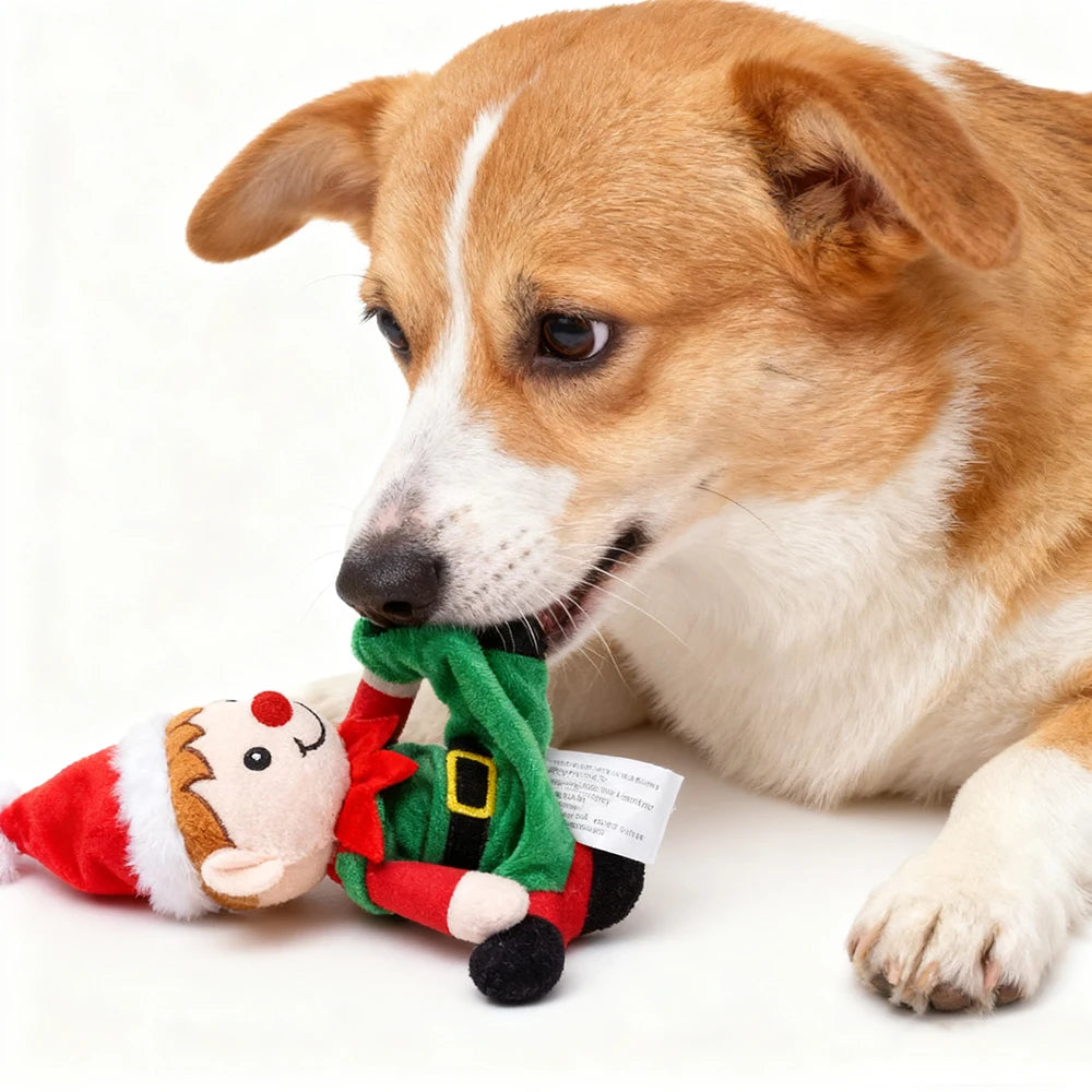 Peluche sonore de Noël pour chien