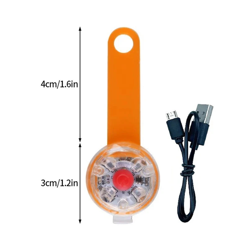 Lumière LED rechargeable pour collier