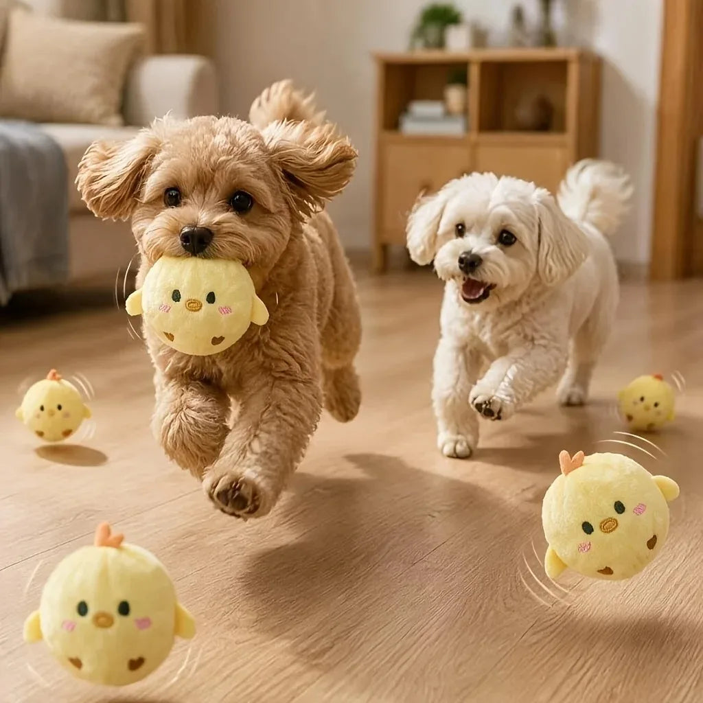 Balle sonore pour chien et chat