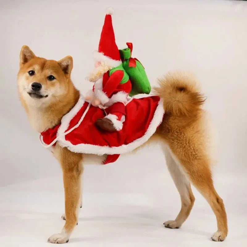 Costume pour chien – Père Noël à dos de compagnon