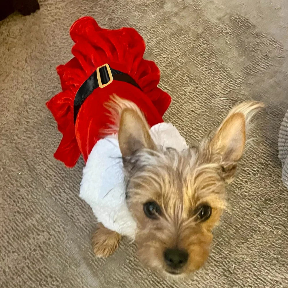 Robe de Noël pour chien et chat – Rouge et blanc