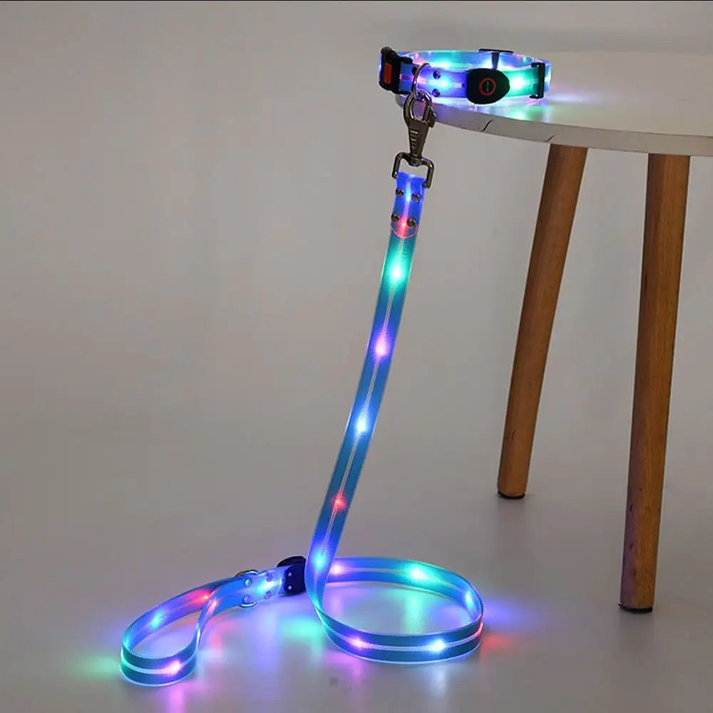 Collier LED et laisse – À l’unité ou en ensemble