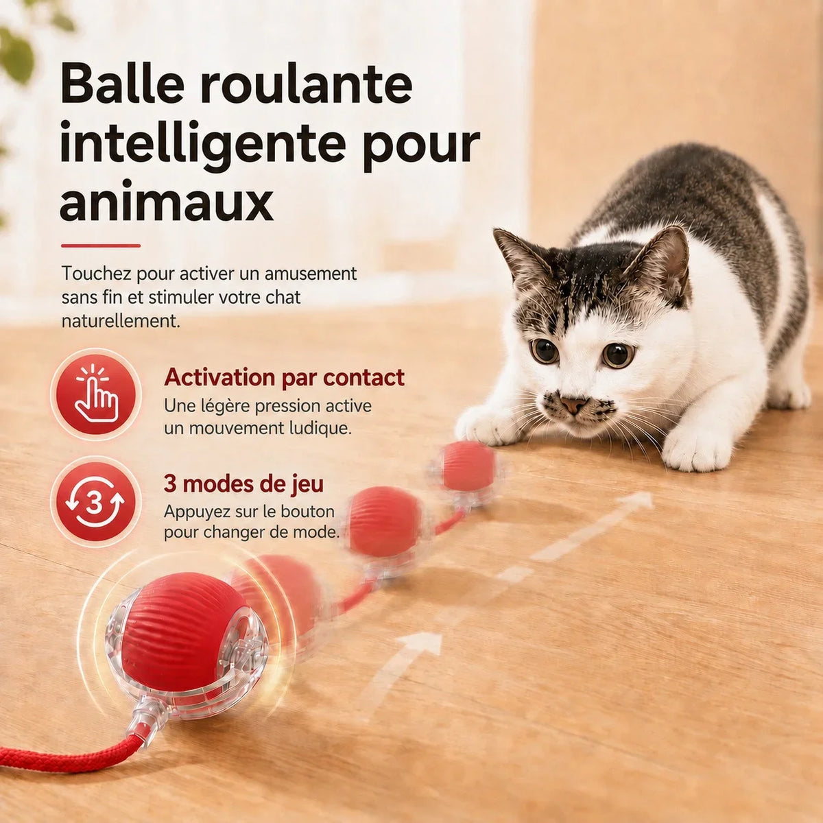 Balle motorisée pour chat