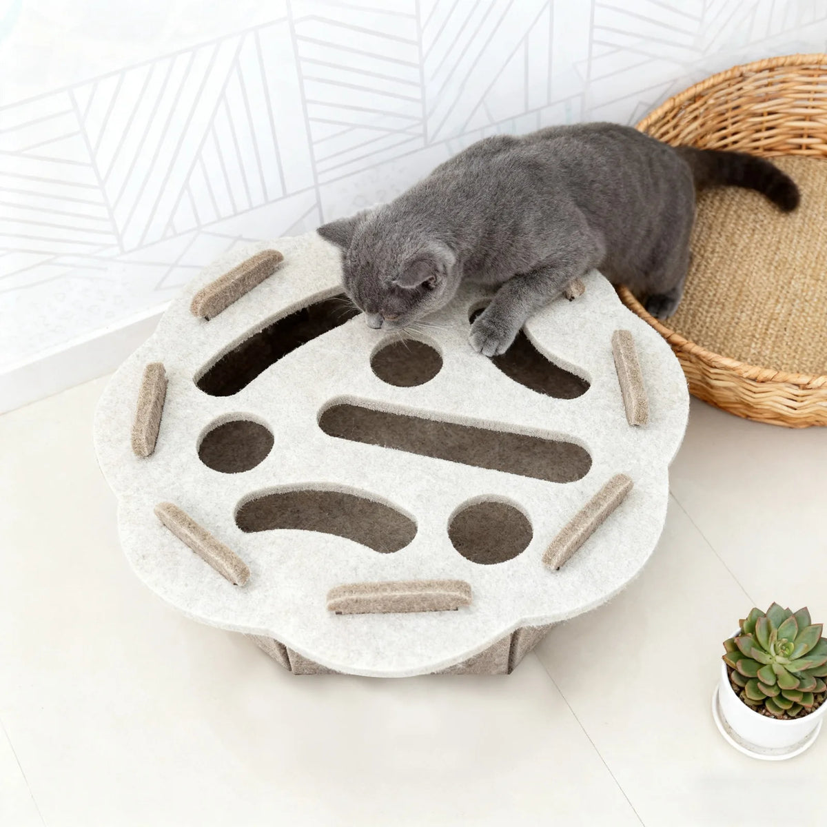 Puzzle pour chat – Balles et cachettes