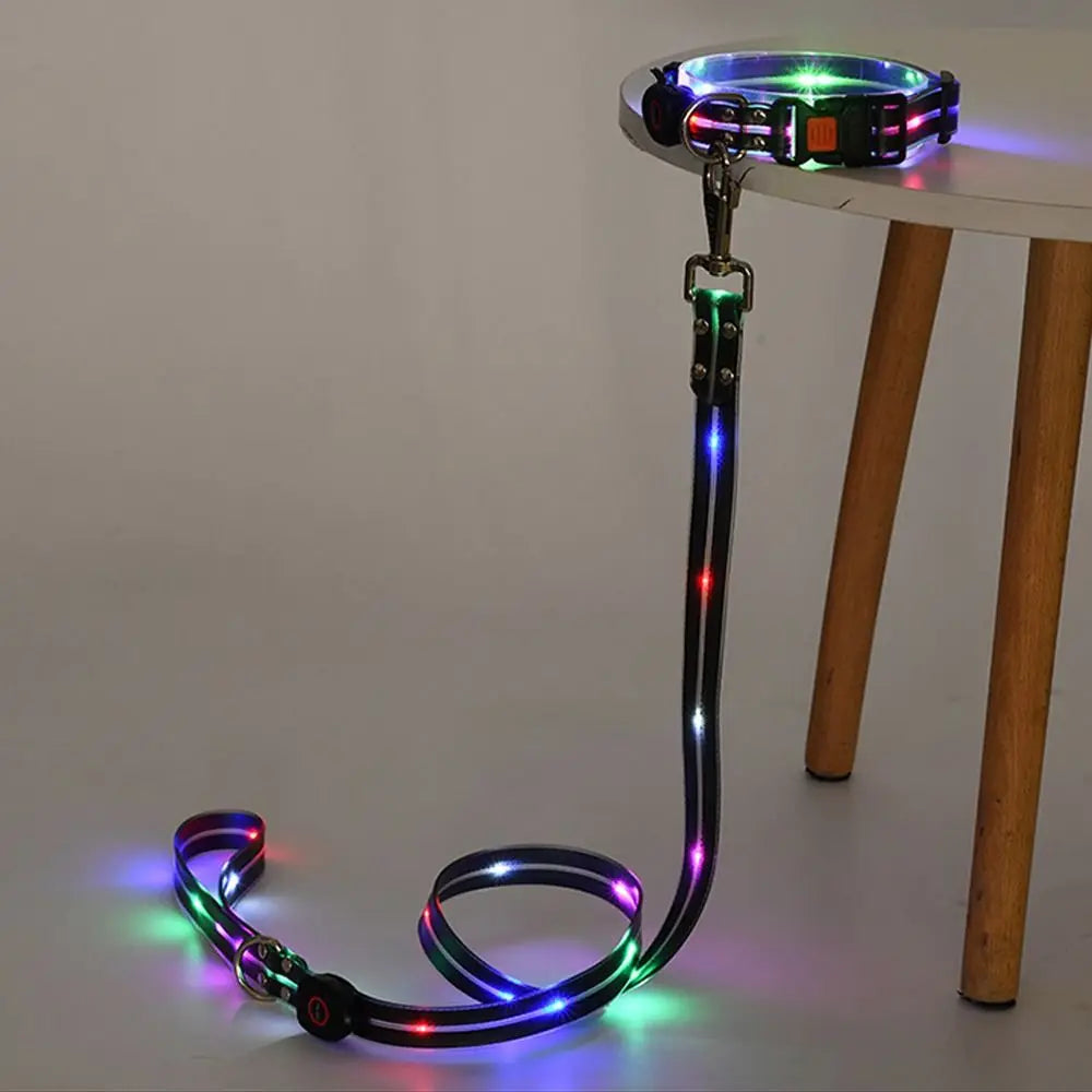 Collier LED et laisse – À l’unité ou en ensemble