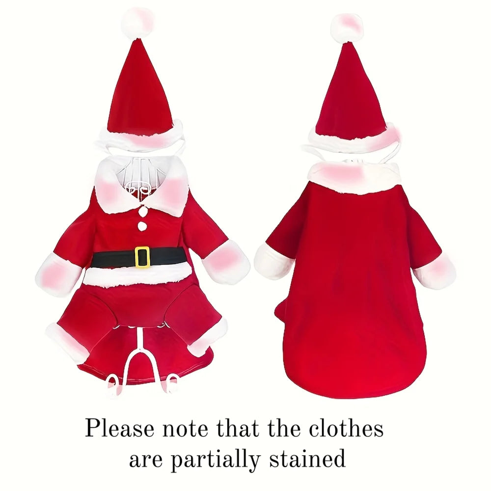 Costume de Père Noël pour petit chien et chat