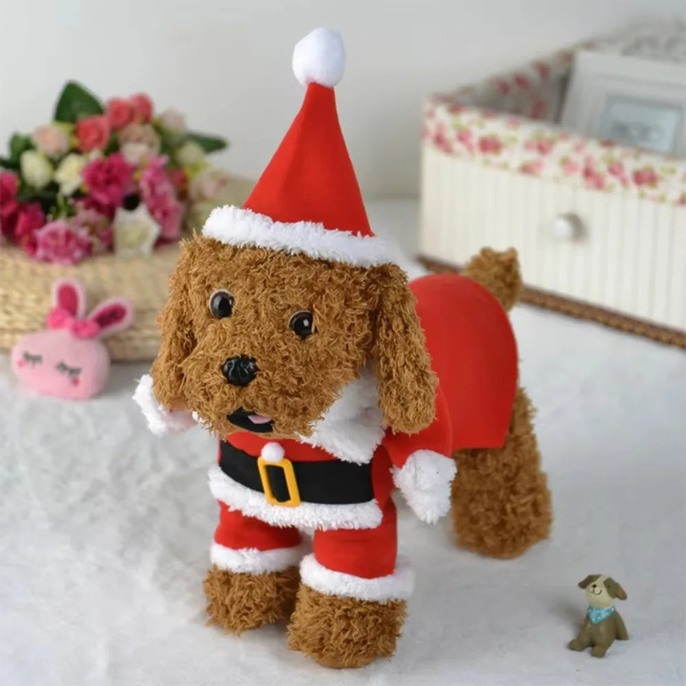 Combinaison de Père Noël pour chien et chat
