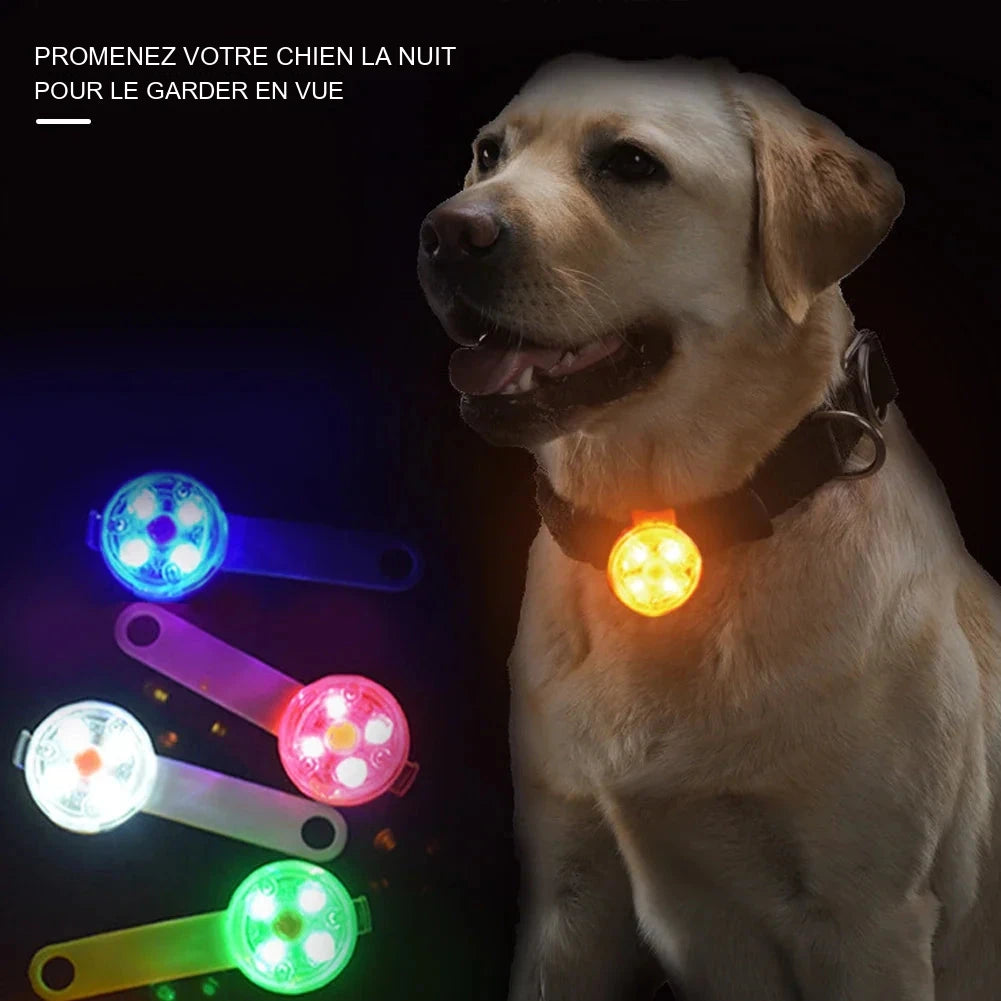 Pendentif LED rechargeable – Chien et chat