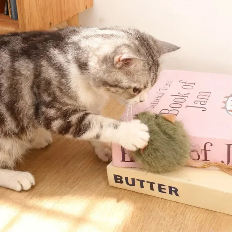 Jouets en peluche pour chat – Modèles au choix