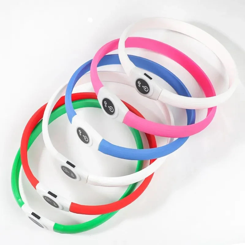 Collier LED pour chien – 65 cm