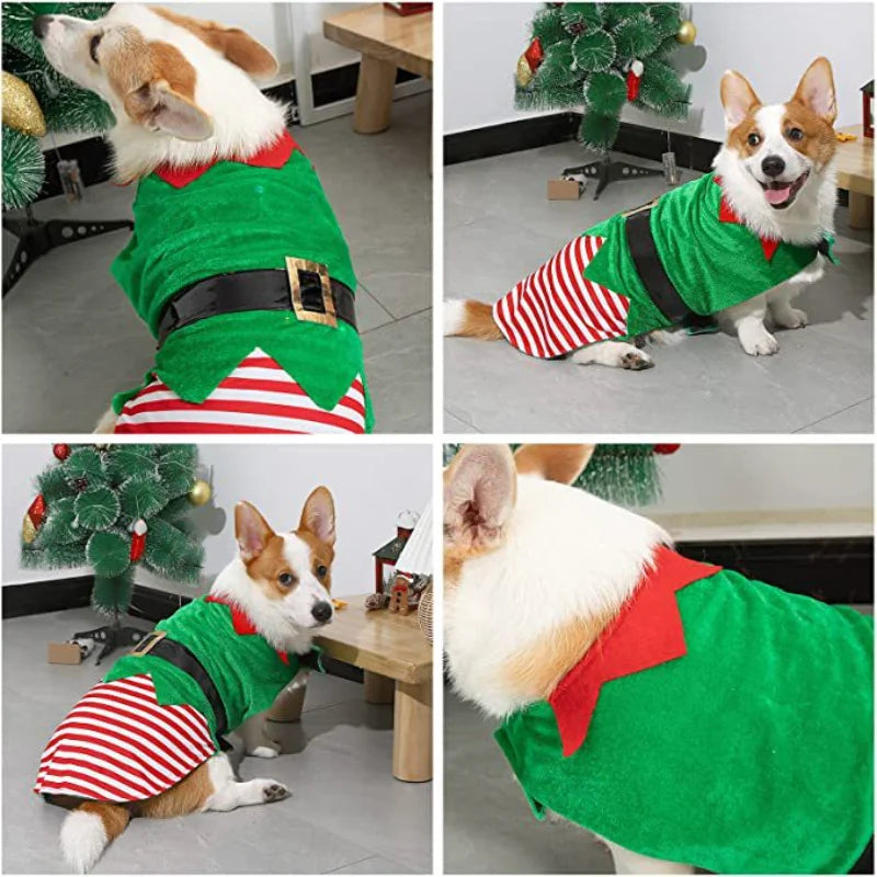 Costume de lutin de Noël pour chien et chat