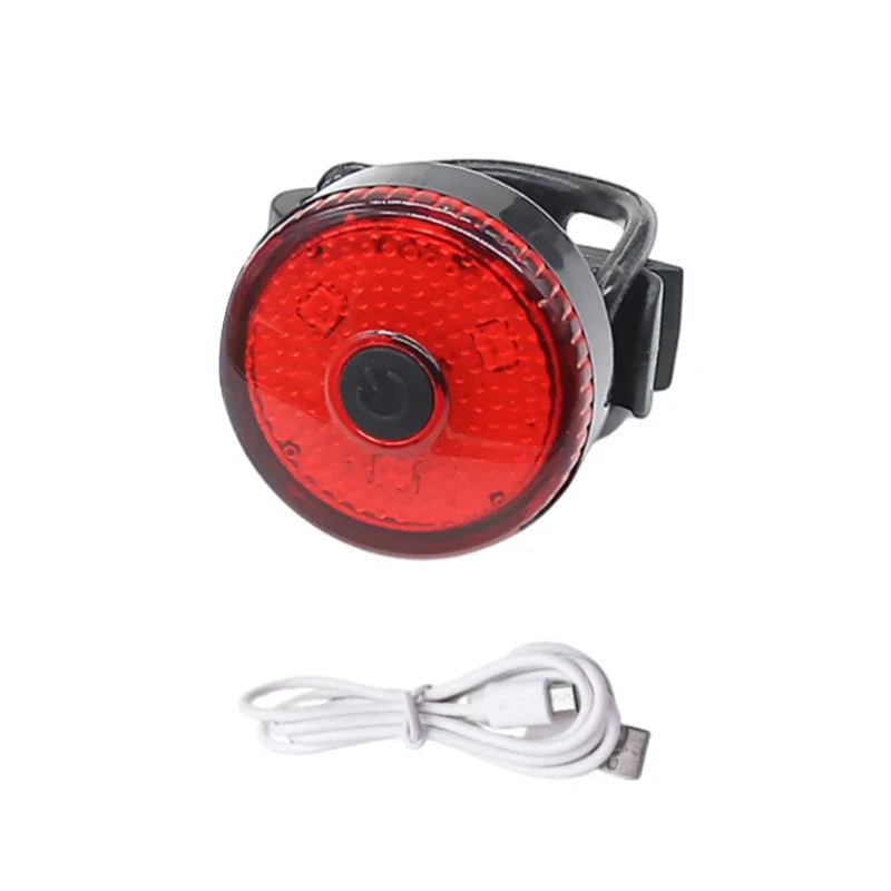 Lumière LED rechargeable pour collier