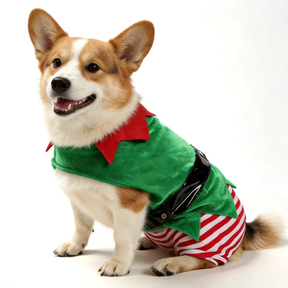Costume de lutin de Noël pour chien et chat