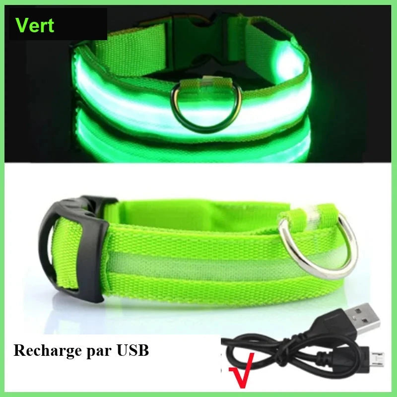 Collier lumineux pour chien – Tours de cou au choix