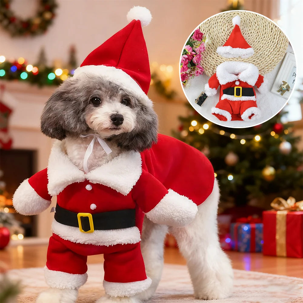 Costume de Père Noël pour petit chien et chat