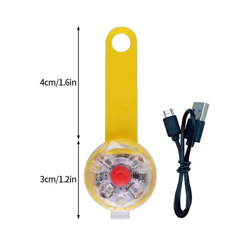 Lumière LED rechargeable pour collier