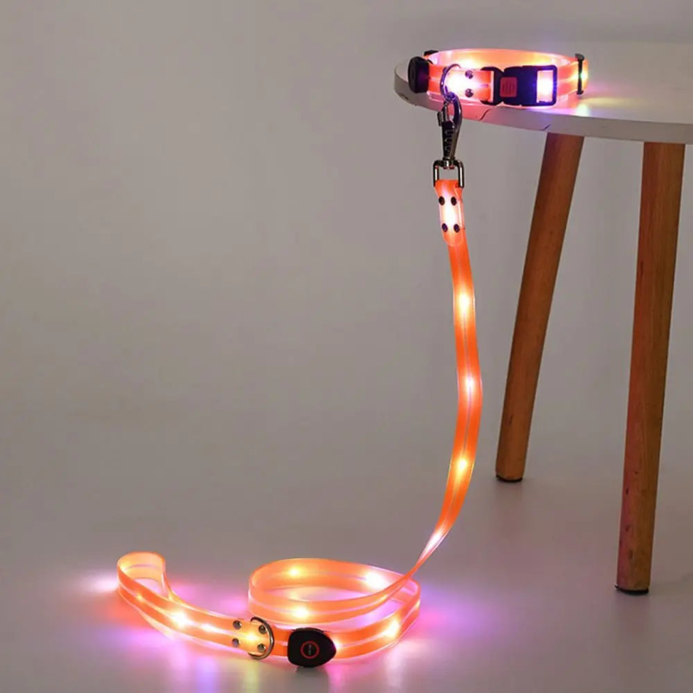 Collier LED et laisse – À l’unité ou en ensemble