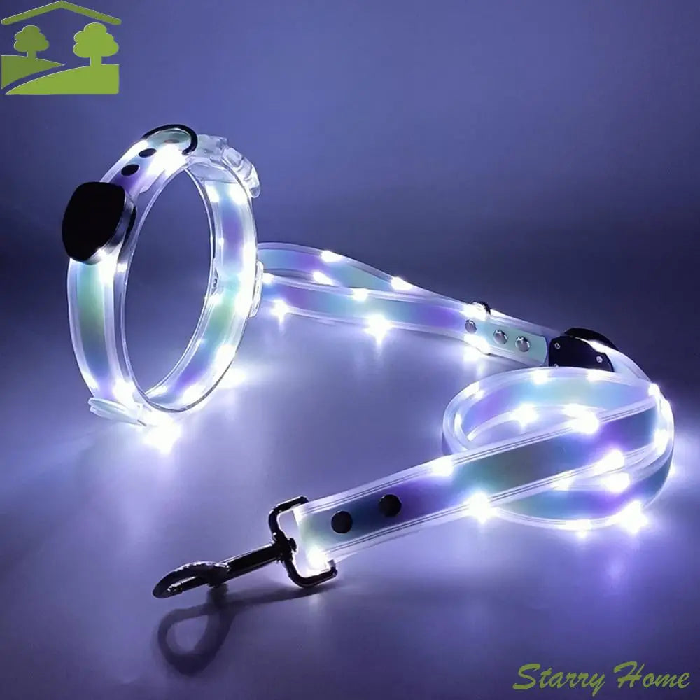 Collier LED et laisse – À l’unité ou en ensemble