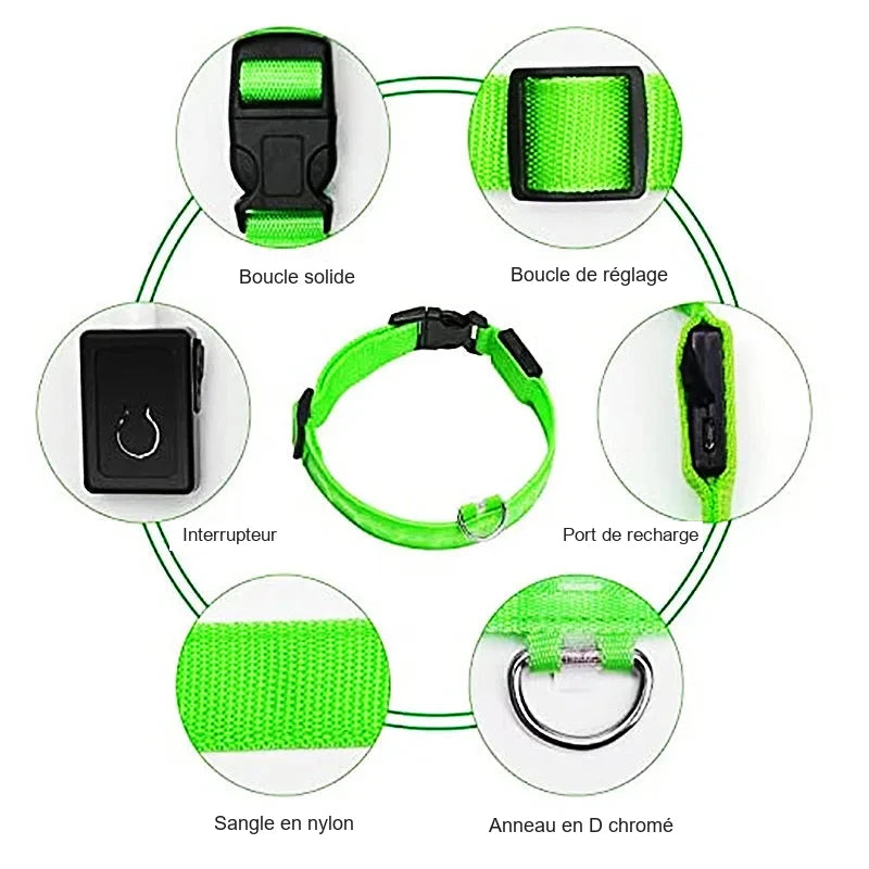 Collier lumineux pour chien – Tours de cou au choix