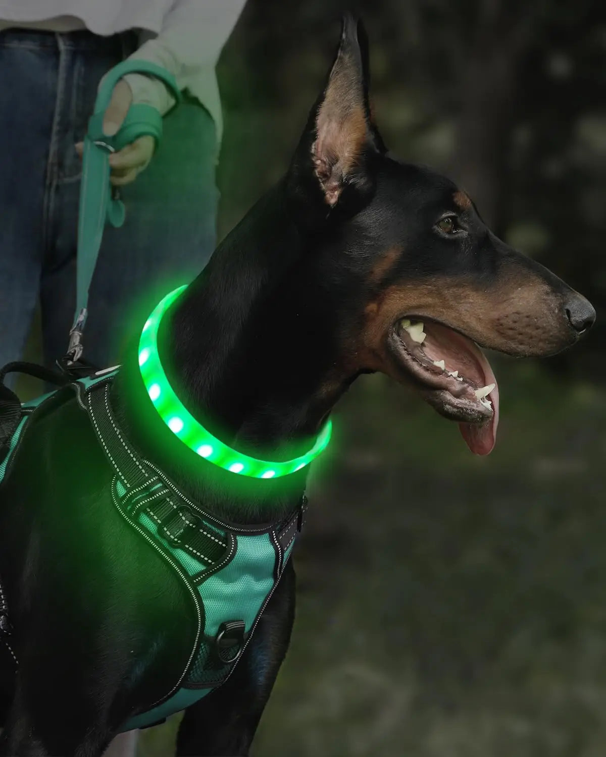 Collier lumineux souple – 9 modes