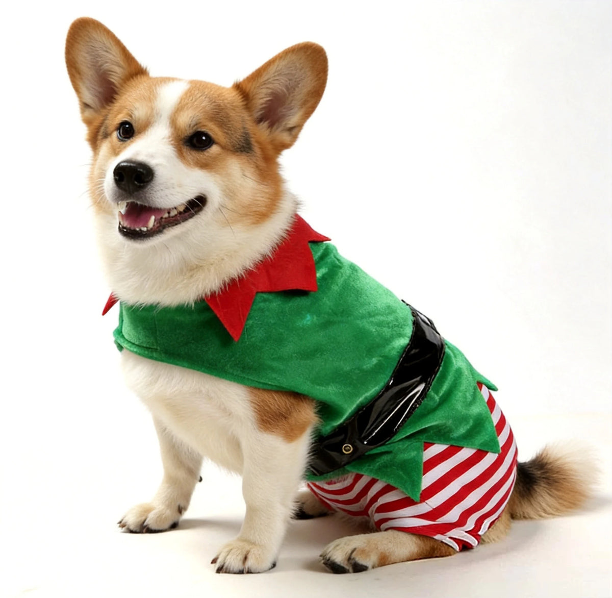 Costume de lutin de Noël pour chien et chat