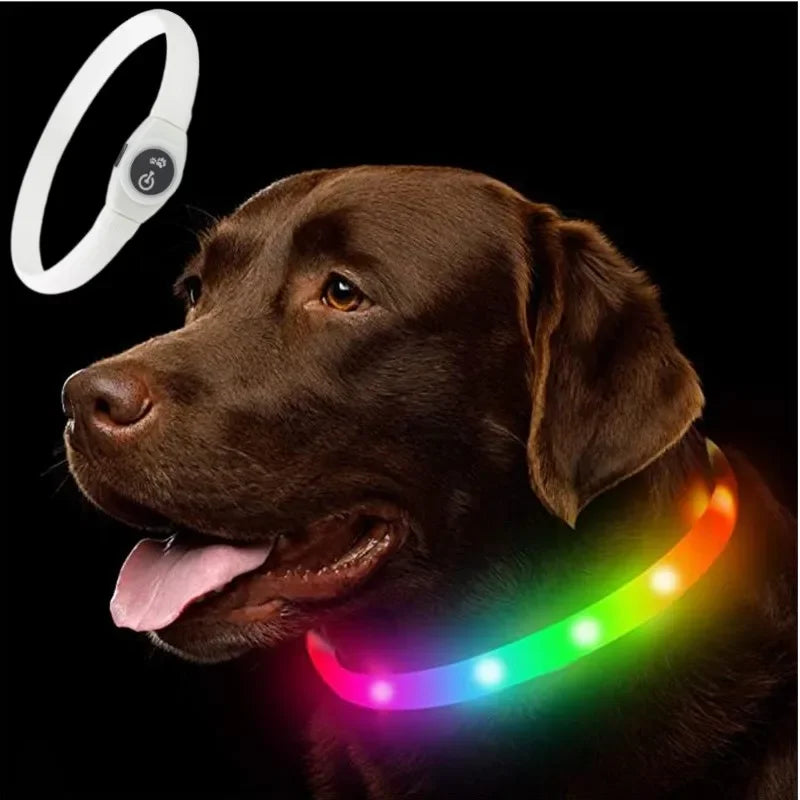 Collier LED pour chien – 65 cm