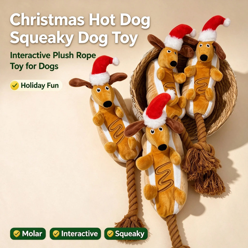 Jouet teckel de Noël pour chien – Peluche et corde