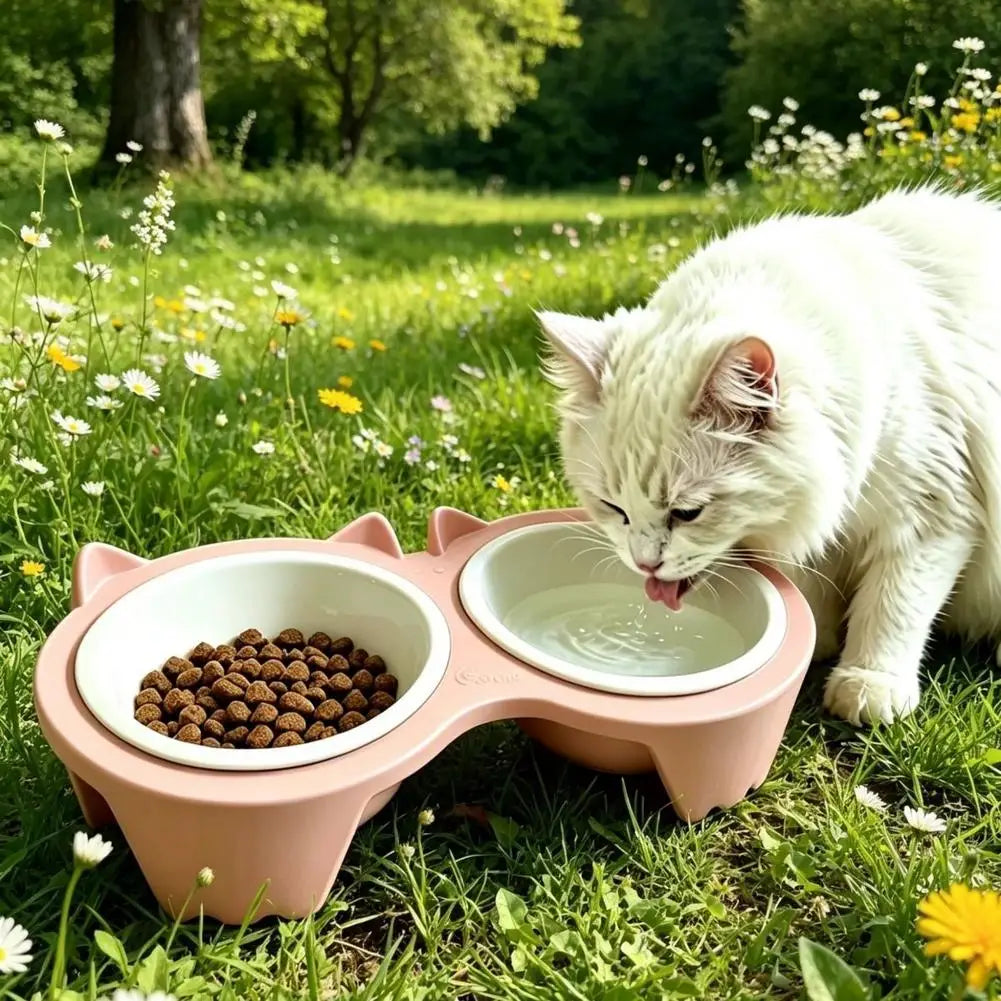 Double gamelle antidérapante pour chien et chat
