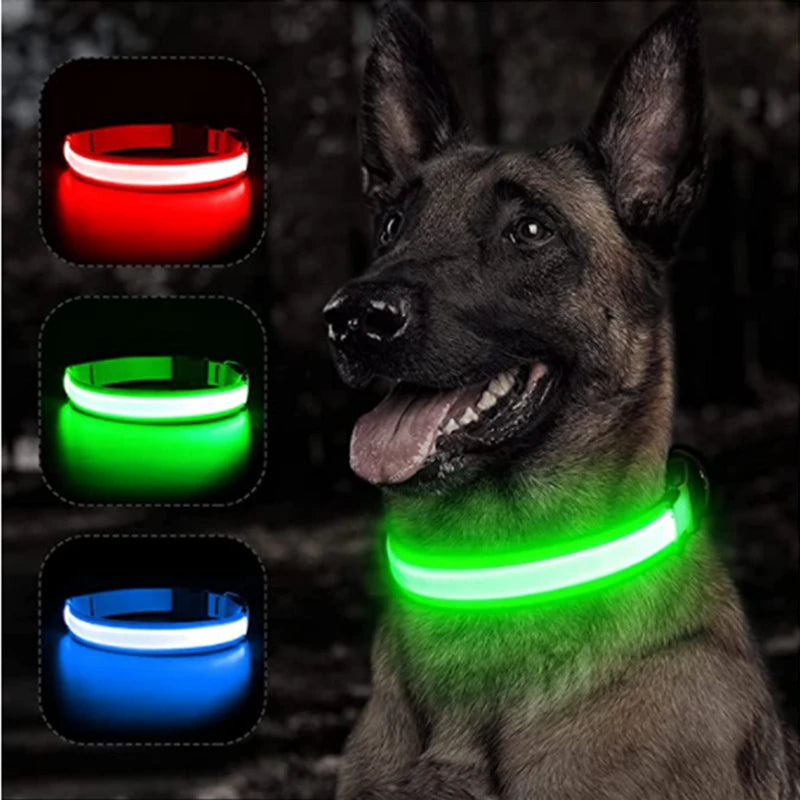 Collier lumineux pour chien – Tours de cou au choix