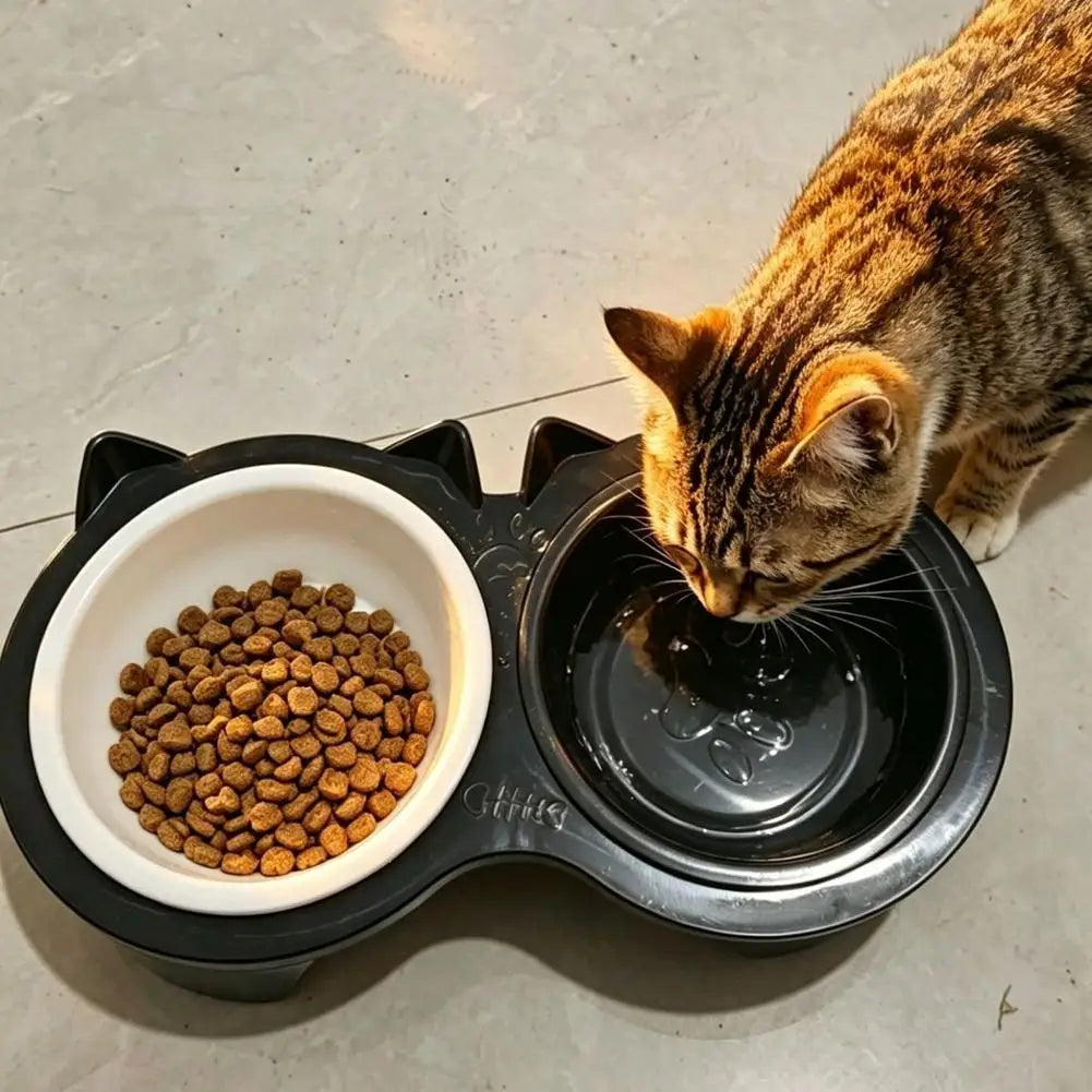 Double gamelle antidérapante pour chien et chat