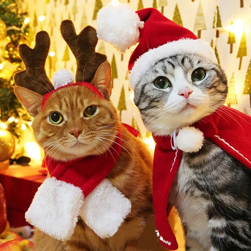 Accessoires de Noël pour chien et chat – Modèles au choix