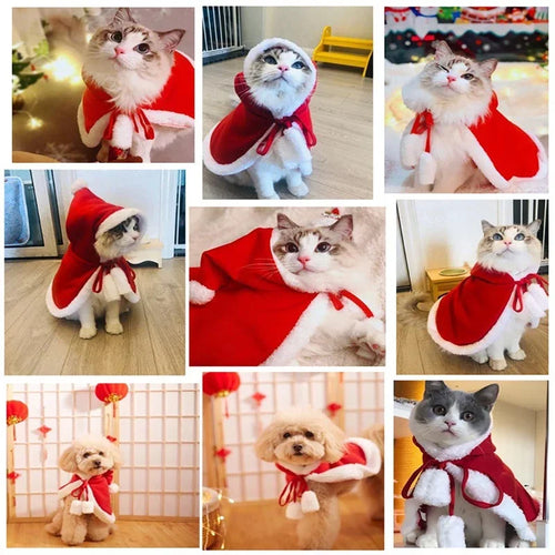 Accessoires de Noël pour chien et chat – Modèles au choix