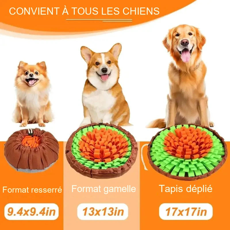 Tapis de fouille de voyage – Chien et chat
