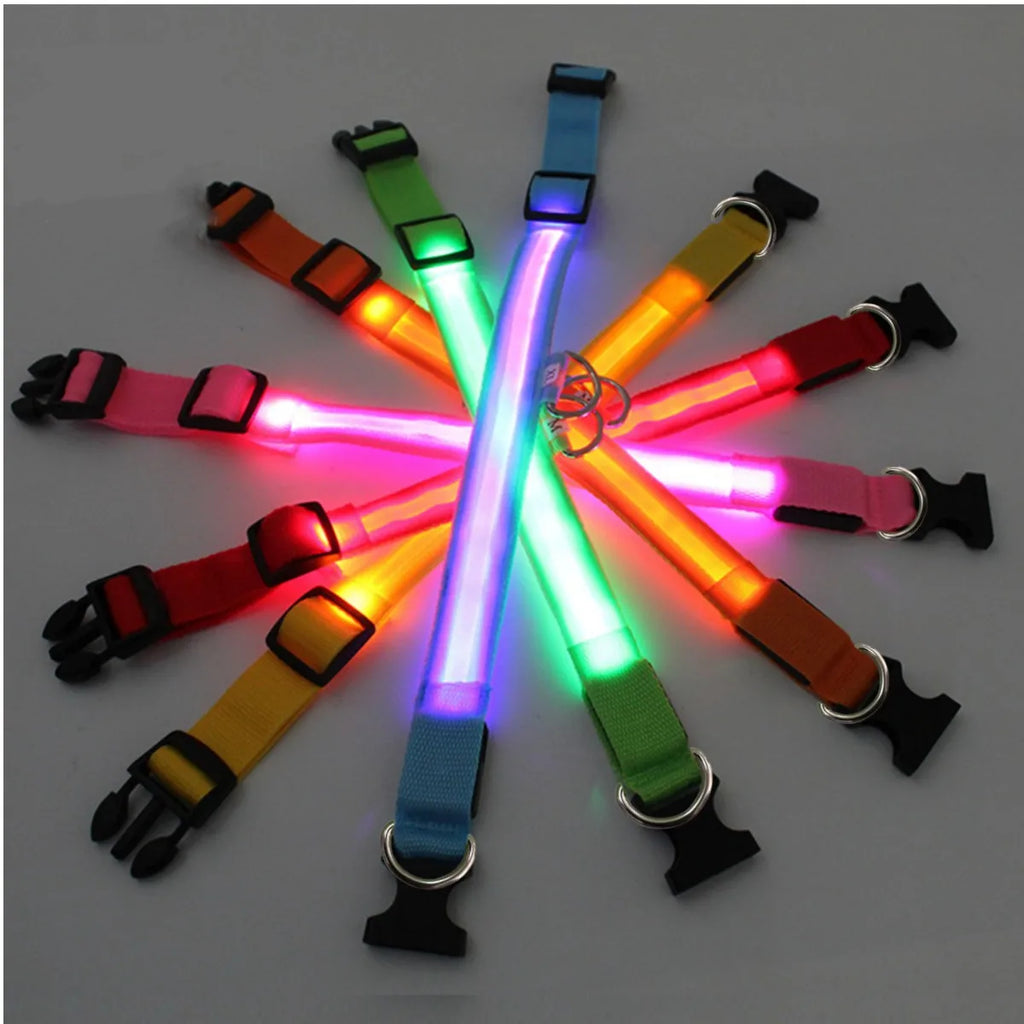 Collier lumineux pour chien – Tours de cou au choix