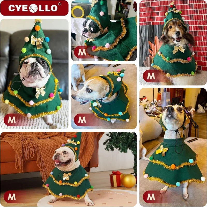 Cape et bonnet de Noël pour chien et chat