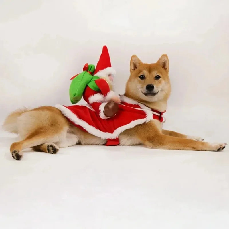Costume pour chien – Père Noël à dos de compagnon