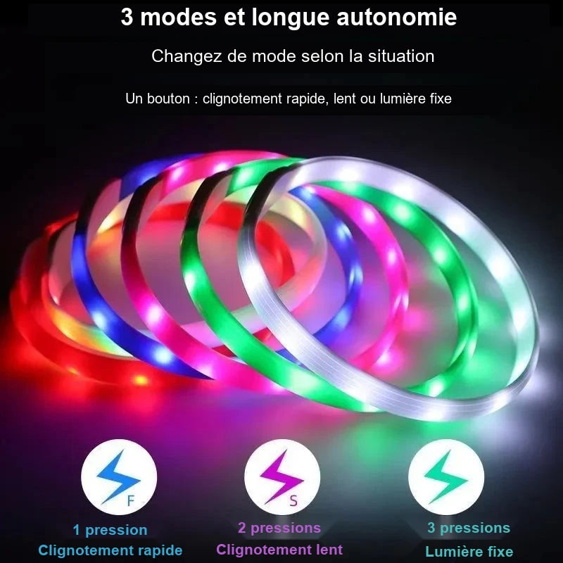 Collier LED pour chien – 65 cm