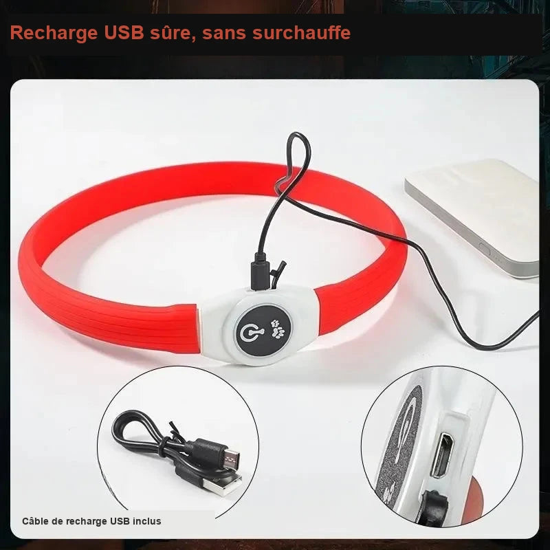 Collier LED pour chien – 65 cm