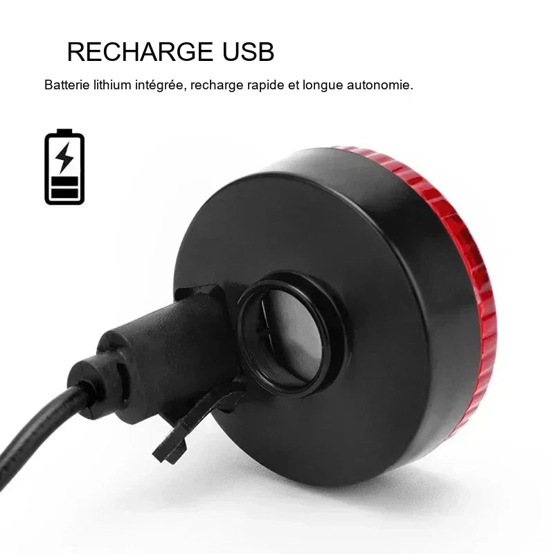 Lumière LED rechargeable pour collier