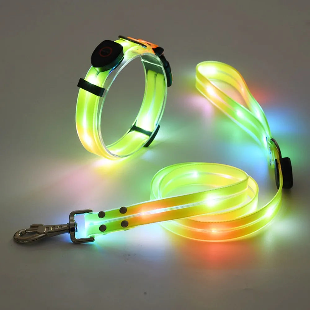 Collier LED et laisse – À l’unité ou en ensemble
