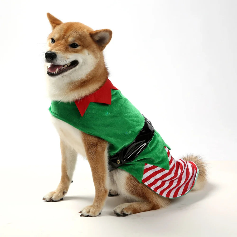 Costume de lutin de Noël pour chien et chat